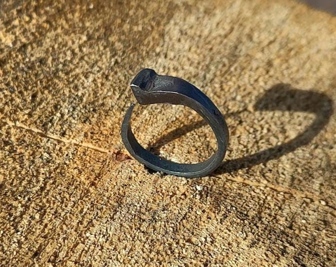 Coffin nail ring