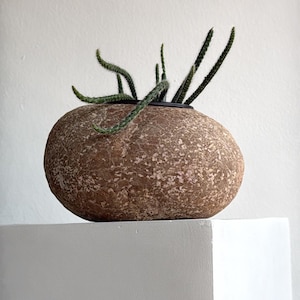 May include: A rounded, brown, textured planter with a rough, stone-like surface. The planter contains a small green cactus with thin, elongated, spiky stems that curve upwards and outwards from the dark circular opening at the top.