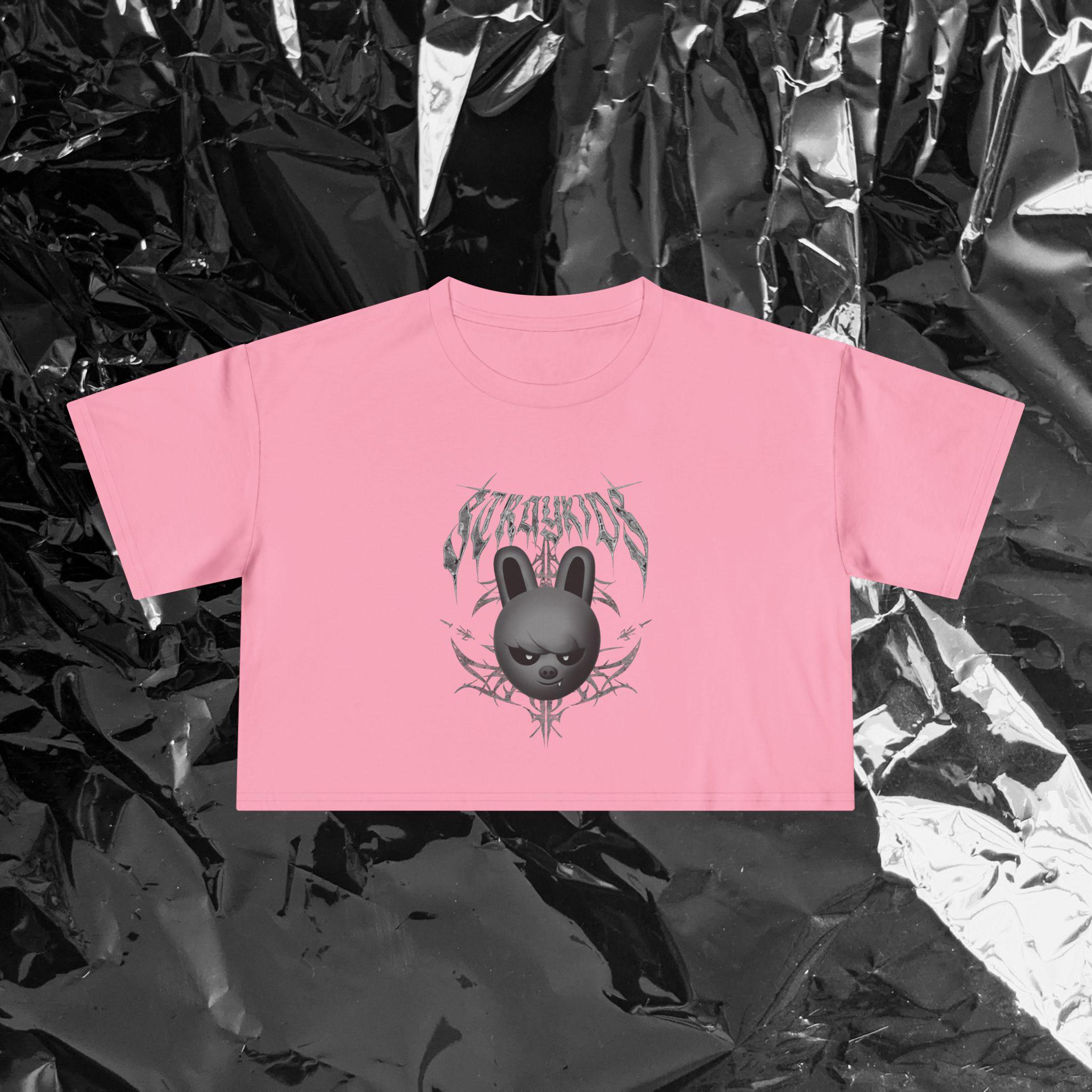 Changbin Dwaekki Stray Kids Evil SKZOO Cropped Graphic Tee - Etsy