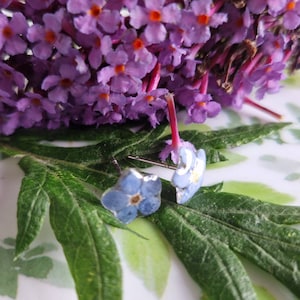 Real Forget Me Not Stud Earrings