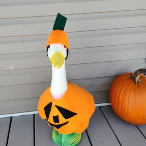 Goose Outfit - Sunny the Pumpkin - Ideal Thanksgiving Porch Goose Outfit - Fits 23 to 25 inch Plastic or Cement Lawn Goose - Handmade by Me