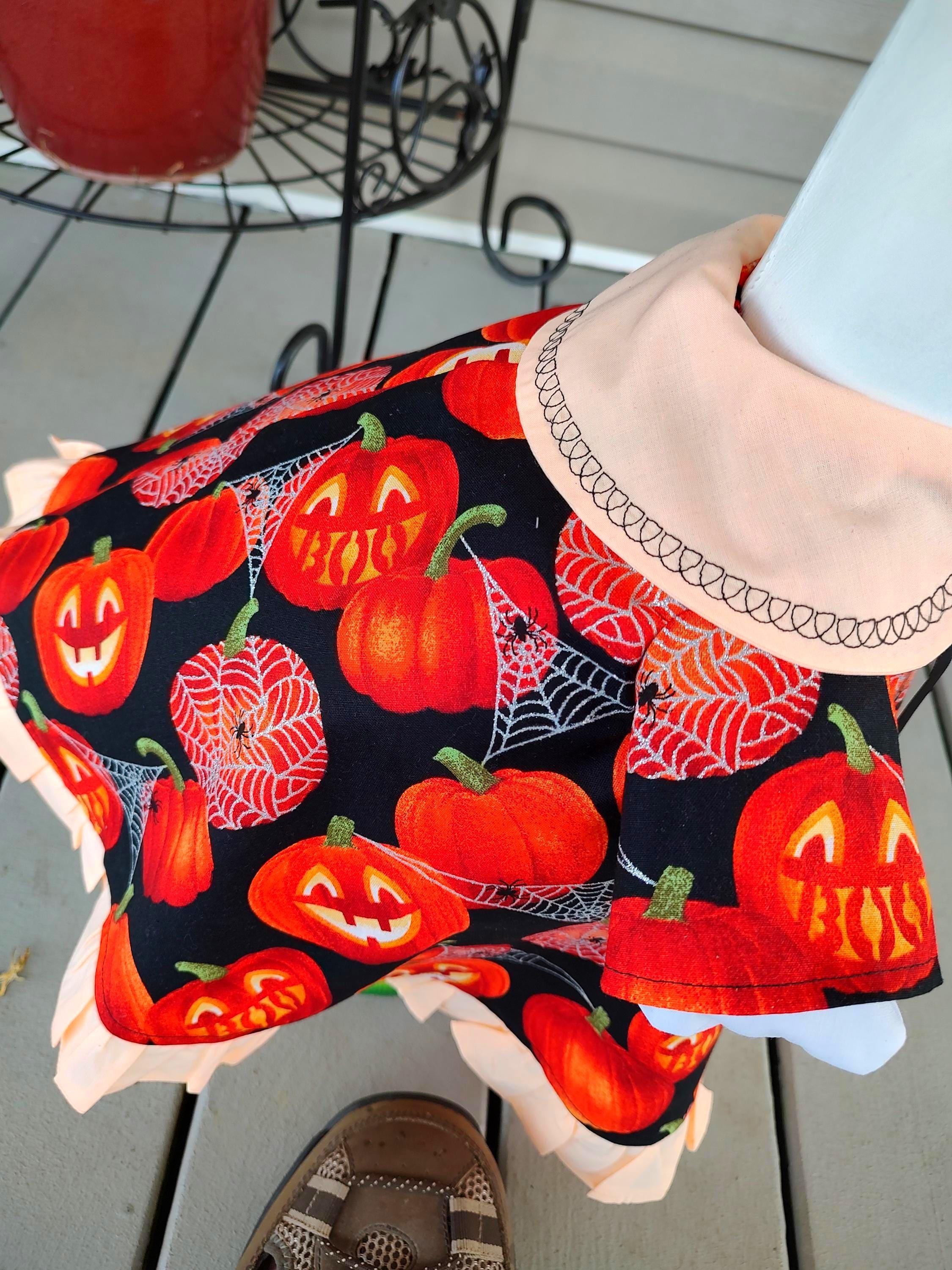 Halloween Goose Outfit -It's surely "One of a Kind" Porch Goose Outfit with Brightly Lighted Pumpkins, Spider and Webs -Fits 23 to 25" Goose