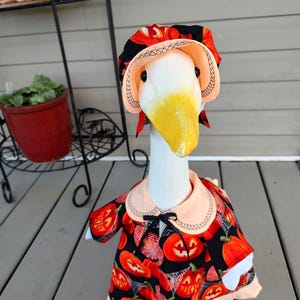 Halloween Goose Outfit -It&#39;s surely &quot;One of a Kind&quot; Porch Goose Outfit with Brightly Lighted Pumpkins, Spider and Webs -Fits 23 to 25&quot; Goose