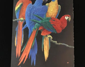 Estampe originale vintage Perroquets, lithographie offset, 1969