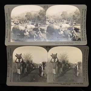 PAIRE de cartes stéréoscopiques anciennes : chasseur de gros gibier//PAIRE de cartes stéréoscopiques originales des années 1800 de chasseur africain, gibier//PAIRE de cartes stéréoscopiques macabres
