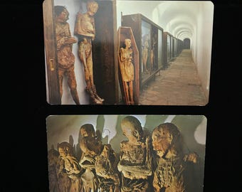 Vintage Guanajuato-mummiepostkaarten PAAR, Mexicaanse macabere kunst