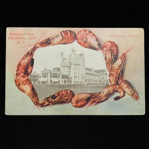 Cartão postal vintage com borda de camarão c.1907 // Cartão postal vintage com borda de camarão de Atlantic City // Cartão postal vintage de Atlantic City // Cartão postal antigo com borda de camarão