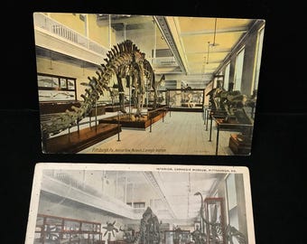 PAAR vintage ansichtkaarten: dinosaurusskeletten, ansichtkaarten dinosauruszaal, ca. 1914,1920 Carnegie Museum of Natural History-postkaarten
