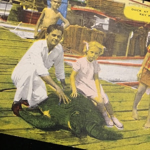 ヴィンテージのウミガメ捕獲ポストカード（ペア、1930～1960年頃）//ヴィンテージのキーウェストポストカード（巨大なウミガメ）//ヴィンテージのクロモリソウミガメポストカード