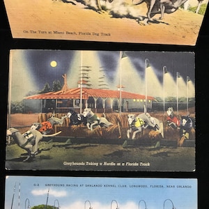 THREE vintage greyhound races postcards 1940s//THREE vintage greyhound kennel club postcards//vintage greyhound linen postcards//dog track