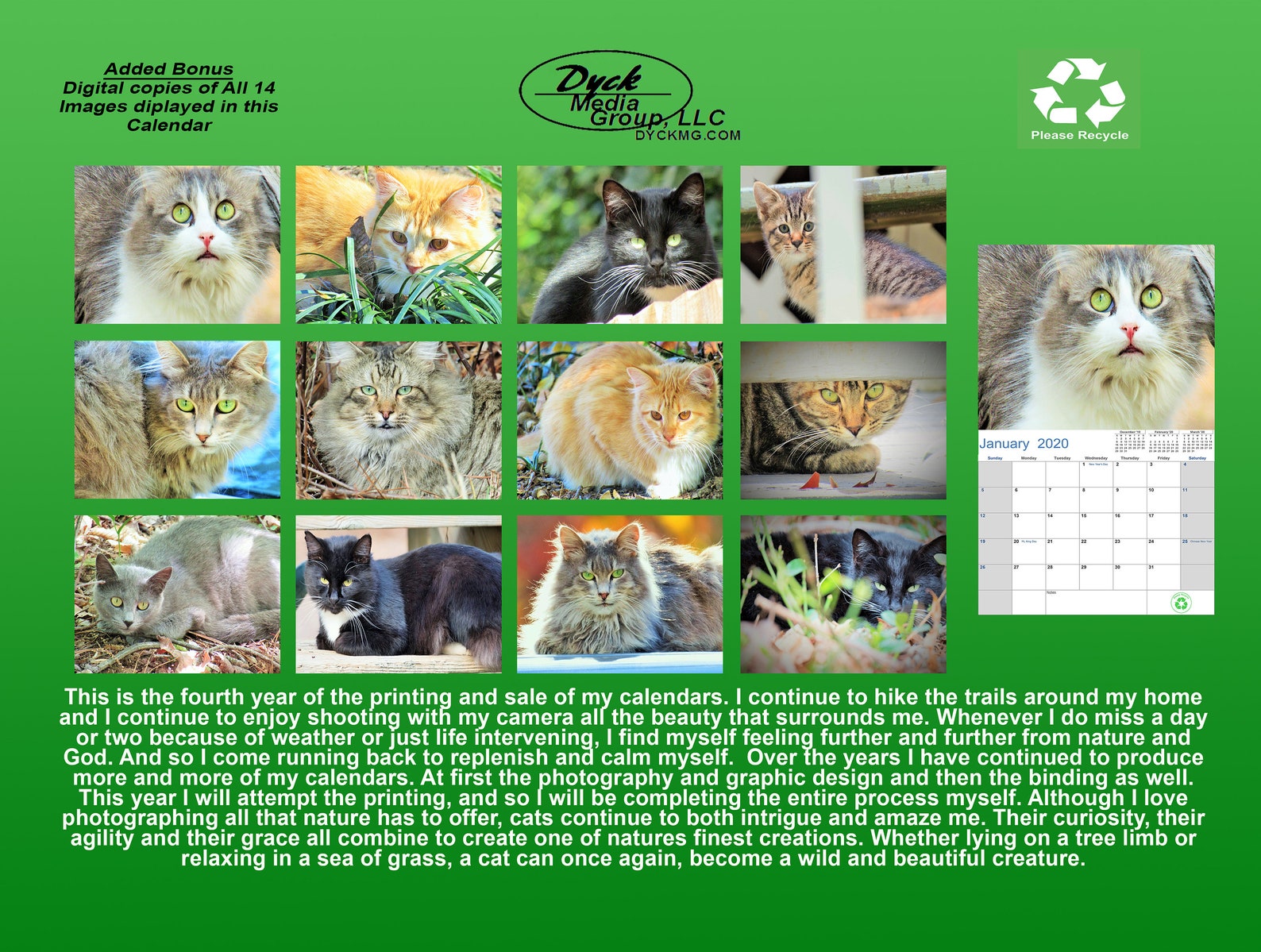 Outside Cats Wall Calendar 2020 | Etsy Outside Cats Wall Calendar 2020 | Etsy