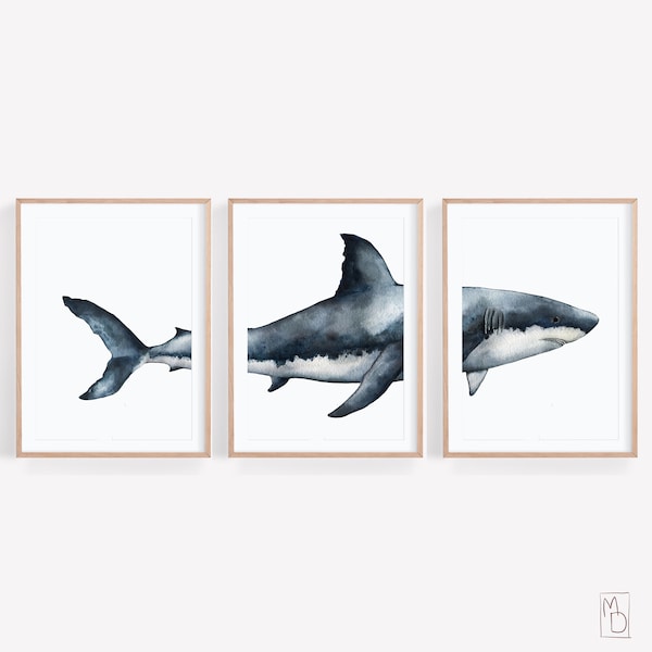 White shark, Art SET OF 3, Printable wall art, Shark art print, Watercolor shark poster, Dining room wall art, Modern Nautical Home Decor