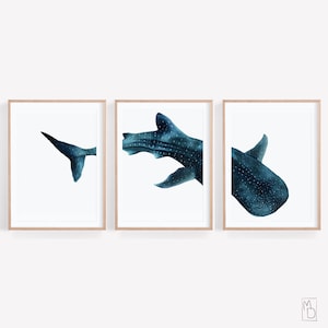 Spotted shark, Art SET OF 3, Whale shark art print, Watercolor shark poster, Dining room wall art, Modern Nautical Home Decor, Beach House