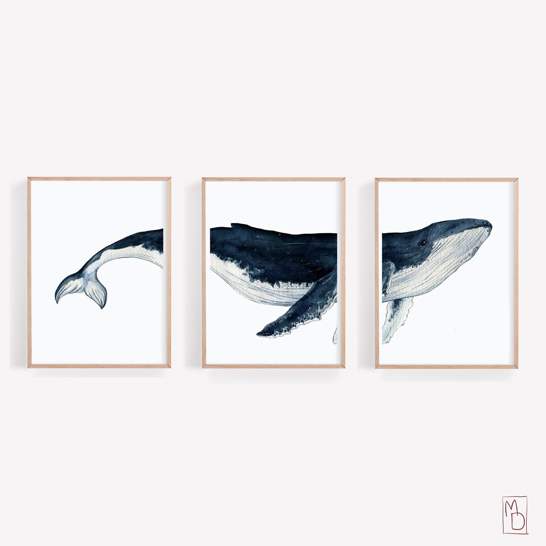 Humpback Whale, Art SET OF 3, Printable Wall Art, Whale Art Print ...