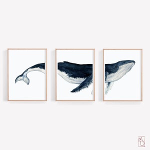 Bultrug, kunst SET VAN 3, afdrukbare muurkunst, walvis kunstprint, aquarel walvis poster, kunst aan de muur eetkamer, moderne nautische Home Decor