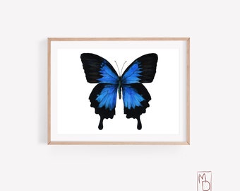 Bright Blue Butterfly poster, Nursery decor, Colorful Butterfly Print, Girl nursery bedding, Insect Print, large butterfly painting