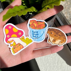 Desert Rain Frog Stickers, Cute Matte Vinyl Waterproof Diecut Sticker | Water Bottle Laptop Sticker | Journaling Sticker