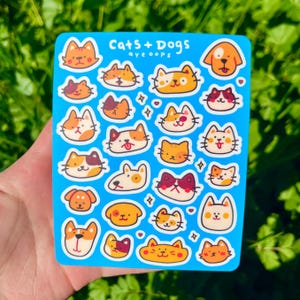 May include: A sheet of colorful stickers featuring cats and dogs with different expressions. The stickers are on a blue background with the text "Cats + Dogs ayeoops" at the top.