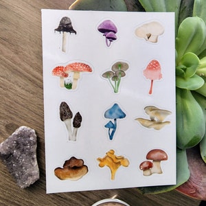 Feuille d'autocollants champignons Fungi Freak