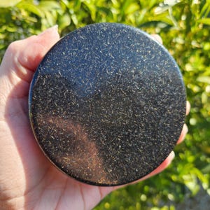 May include: A round, black object with a speckled pattern. The surface has a glossy finish, and the object is held in a hand against a backdrop of green foliage. The object appears to be made of a dark, possibly natural material.