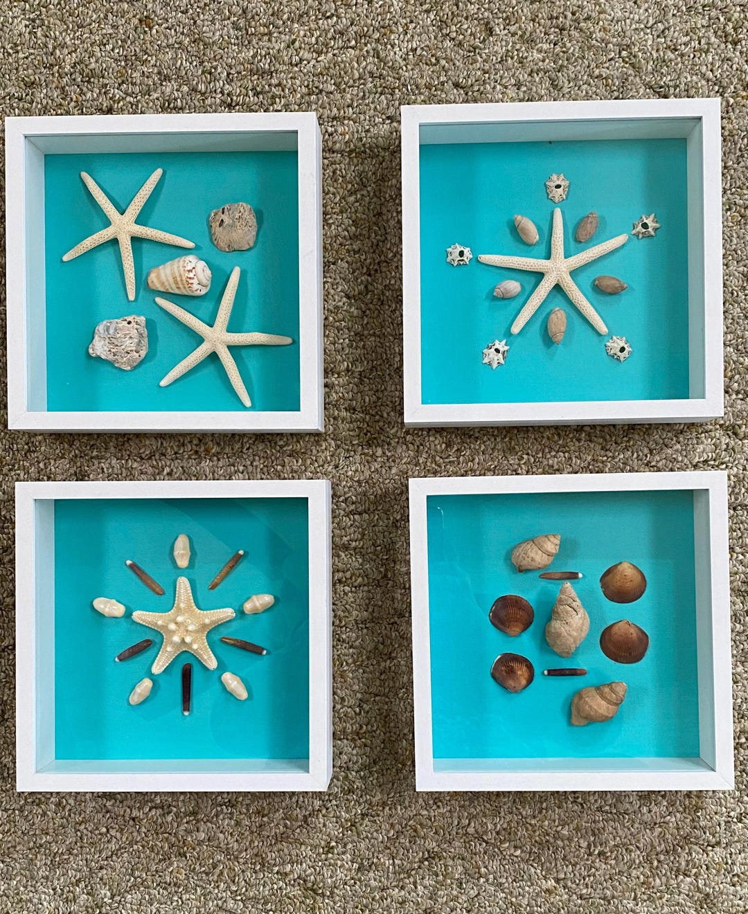 Shadowboxes Destin Seashell Shadowboxes - Etsy