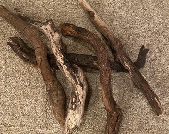 Magical Oregon drilled driftwood #11  small