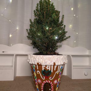May include: A small evergreen tree planted in a large, hand-painted terracotta pot. The pot is decorated to resemble a gingerbread house, with white icing details and colorful candy accents. The tree is lit with small white lights.