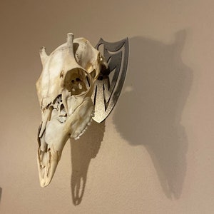 European Deer Skull Mount Euro Mount Made in the USA