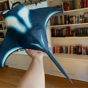 Manta Ray Wall Art