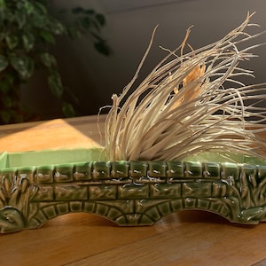 Op de afbeelding: Een groene keramische plantenpot in de vorm van een brug met een kleine luchtplant erin.