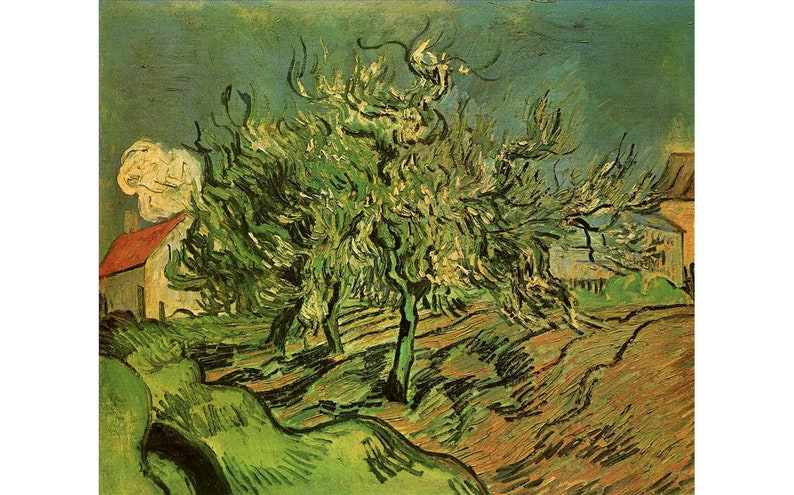 8 Hand Painted Vincent van Gogh Scenery Oil Paintings Art on Canvas as Wall Decor /& Gift Alpilles Olive Trees in Foreground landscape