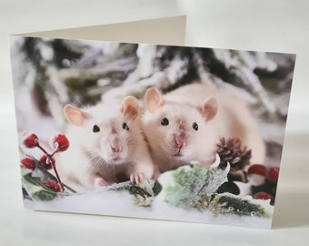 Peut inclure: Deux rats blancs au nez rose sont assis dans un décor hivernal enneigé. Les rats regardent la caméra. Il y a des baies rouges et des feuilles vertes en arrière-plan.