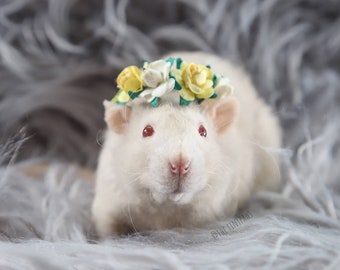 Pet rat/rodent flower crown