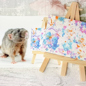 Tiny Paws Rat Canvas art Commission with photo