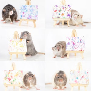 Tiny Paws Rat Canvas Commission with photo image 9