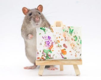 Tiny Paws Rat Canvas art with photo