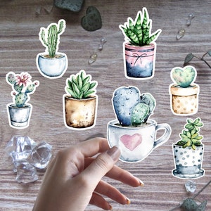 Stickerset vetplant bohoplant | Glanzende sticker | Aquarel laptopstickers | Sticker kamerplant | Sticker notitieboekje, planner of dagboek
