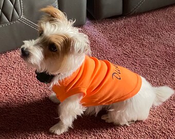 lovelonglong 2019 Pet Clothing Costumes Puppy Dog Clothes Blank T-Shirt Tee Shirts for Large Medium Small Dogs 100% Cotton Orange XXL