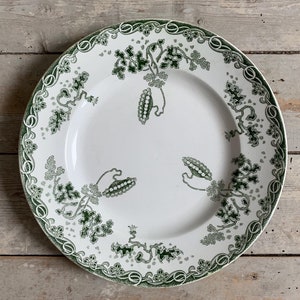 Peut inclure: Assiette en céramique blanche avec un motif botanique vert. L'assiette présente une bordure détaillée et un motif central de feuilles et de gousses stylisées. Le motif est répété sur le bord de l'assiette.