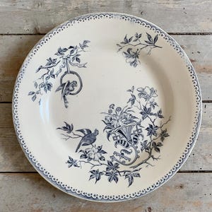 1900s ~ Ironstone Terre de fer Dinner Plate ~ French Antique Made in France by CREIL MONTEREAU ~ Model PERRUCHE ~ Decor Birds Parakeet