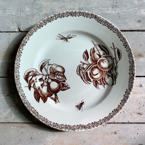 Década de 1880 ~ Ironstone Terre de fer ~ Prato de jantar ~ Antiguidade francesa de Choisy le roi Hautin Boulenger ~ Decoração de morangos e insetos sépia