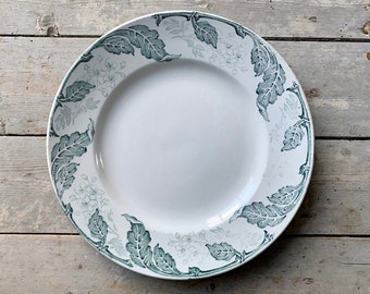 May include: White ceramic plate with a detailed border featuring a teal leaf and floral design. The plate has a wide rim and a smooth, glossy surface. The design is repeated around the entire edge of the plate.