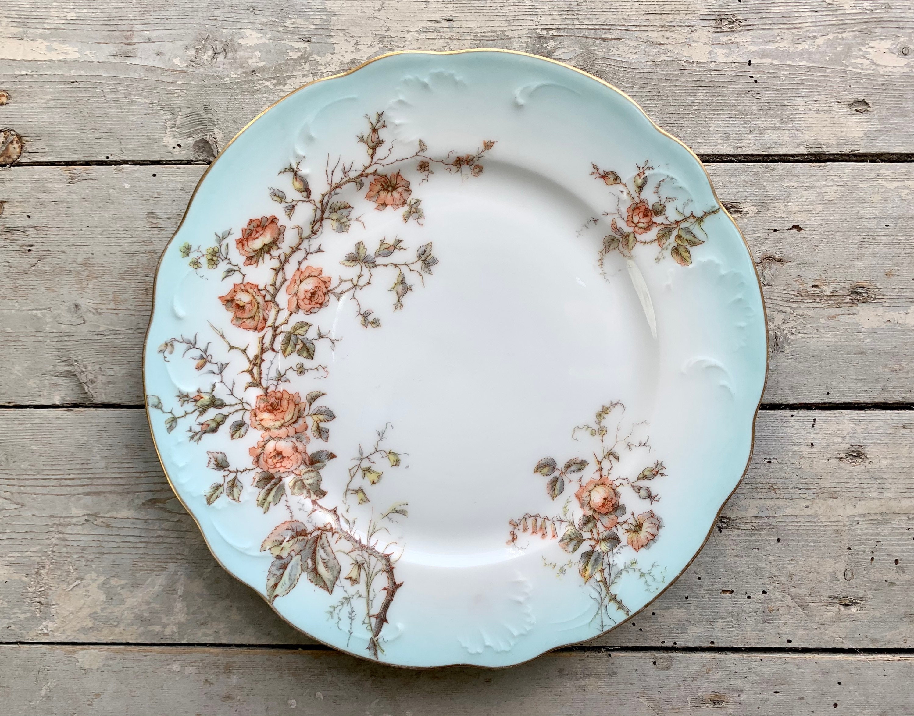 1900 ~ Plate Luxury French Antique Porcelain Vierzon Made in France By Hache & Cie Polychrome Floral