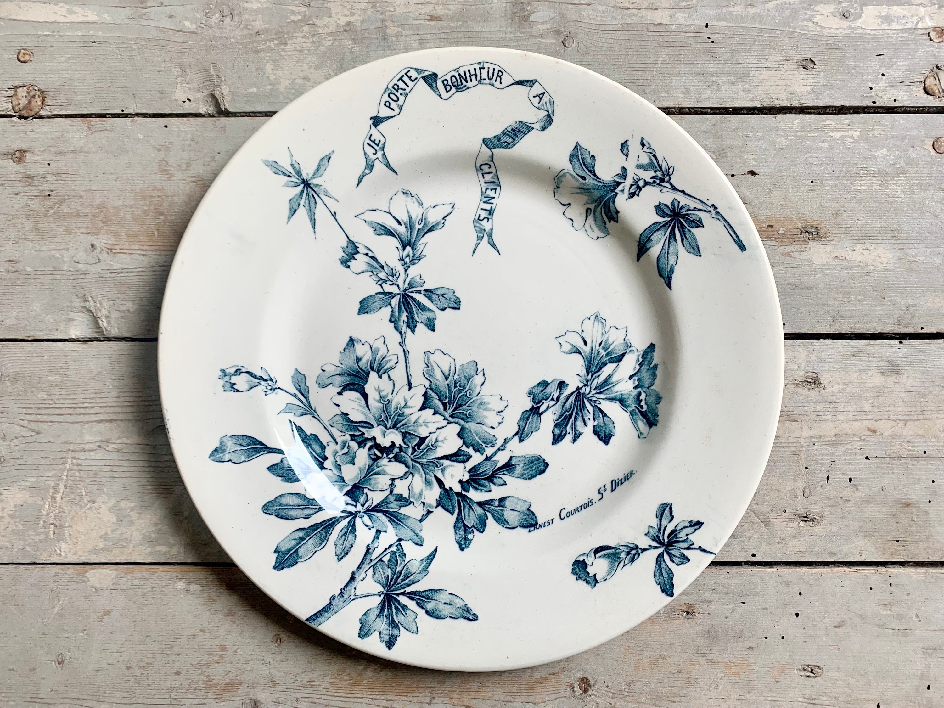 1890s ~ Rare Limited Edition Ironstone Terre De Fer Plate