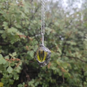 May include: A silver-toned metal pendant necklace featuring a translucent yellow resin stone with a dark, vertical, wing-like inclusion. The pendant is encased in a textured, organic-shaped silver metal setting and hangs from a simple silver chain.
