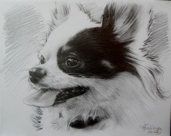 写真から描いた犬の鉛筆画 - 100%手描き。 - Etsy 日本