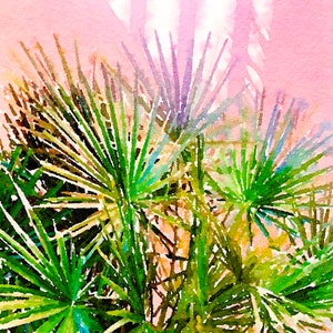 Bermuda Pink
