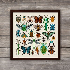 Insects cross stitch pattern, Bugs cross stitch pdf download, Entomology cross stitch, Insects embroidery wall decor, Modern cross stitch