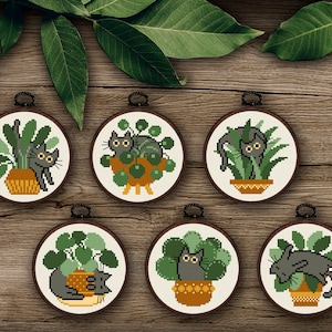 Funny cats cross stitch pattern, Home plants cross stitch pdf pattern, Cute cats and plants decor, Modern cross stitch, Cats lover DIY gift
