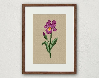 Iris Kreuzstichmuster: Februar Geburt Blume (PDF Download)